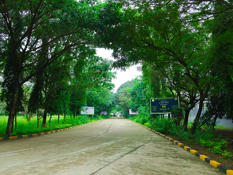 Rajiv Gandhi College of Arts & Science
